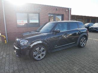  Mini Countryman ALL 4 NORTHWOOD PANORAMADAK LEER LED 2021/8