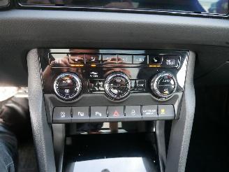 Skoda Kodiaq RS 4x4 PANORAMADAK ACC DCC ALCANTARA DSG 7 PERSOONS picture 21