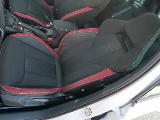 Skoda Kamiq MONTE CARLO PANORAMADAK LED picture 19