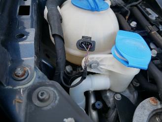 Volkswagen Golf  picture 8