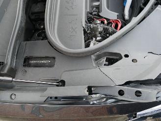 Audi Q6 Q6 e-TRON PERFORMANCE S-LINE MATRIX LED LEER AHK PANORAMA picture 12