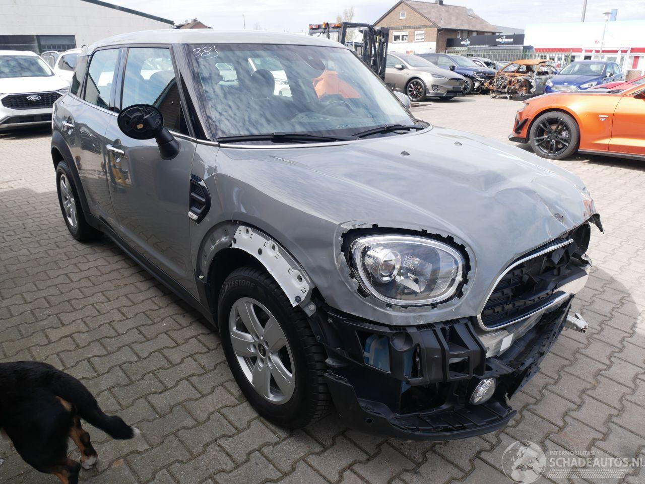 Mini Countryman ONE CHILI