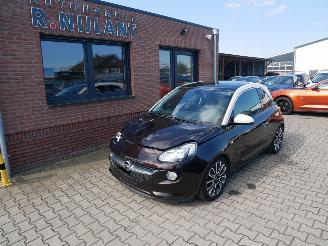 Unfallwagen Opel Adam GLAM ECOFLEX PANORAMADAK 2015/8