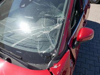 Ford Puma ST LINE ACC LEER PANORAMADAK LED picture 6