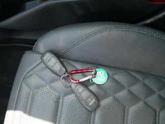 Ford Puma ST LINE ACC LEER PANORAMADAK LED picture 19