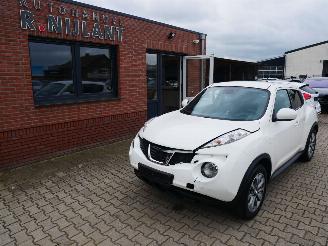 Nissan Juke TEKNA 4X4 LEER AWD 2013/8
