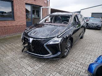 Unfallwagen DFSK  FORTHING 4 U-TOUR LEER LED PANORAMADAK 7 PERSOONS. 2024/5