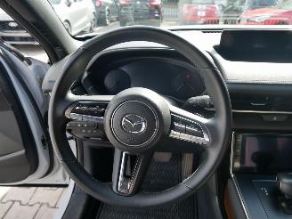 Mazda MX-30 AD`VANTAGE picture 14