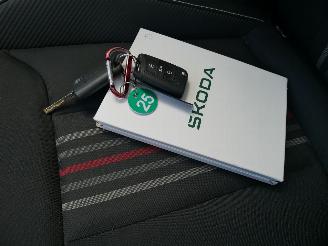 Skoda Scala MONTE CARLO PANORAMADAK LED picture 16