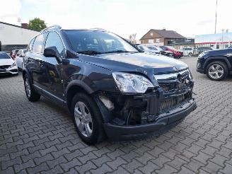 Opel Antara  picture 2