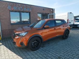 Auto incidentate Peugeot 2008 ACTIVE  HAGELSCHADE 2021/4