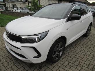 skadebil auto Opel Grandland GrandLand X  1.2T 130pk AUT. Climatronic HalfLeer/Alcant Navi Camera Keyless-Go Stoel/Stuur-Verwarming 2024/5