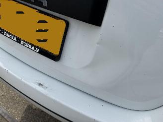 Dacia Duster 1.6 16v picture 13