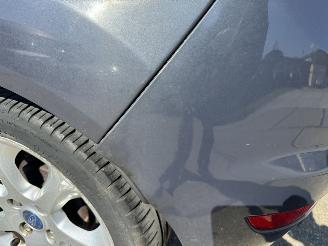 Ford Fiesta 1.6 TDCI Titanium picture 19