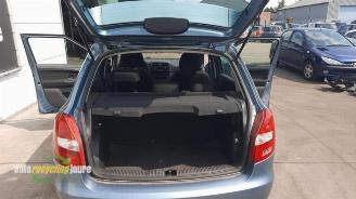 Skoda Fabia Fabia II (5J), Hatchback 5-drs, 2006 / 2014 1.2 TDI 12V Greenline picture 18