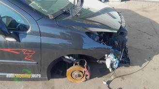 Peugeot 207 207/207+ (WA/WC/WM), Hatchback, 2006 / 2015 1.6 16V GT THP picture 2