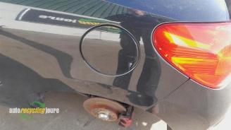 Peugeot 207 207/207+ (WA/WC/WM), Hatchback, 2006 / 2015 1.6 16V GT THP picture 9