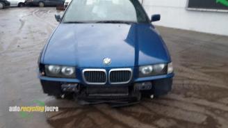 BMW 3-serie 3 serie Touring (E36/3), Combi, 1995 / 1999 316i picture 12