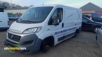 Fiat Ducato Ducato (250), Van, 2006 2.0 D 115 Multijet picture 12