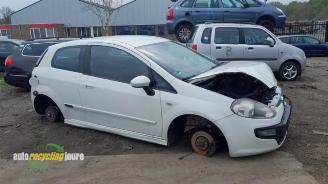 Sloopauto Fiat Punto Punto Evo (199), Hatchback, 2009 / 2012 1.3 JTD Multijet 85 16V Euro 5 2010/8