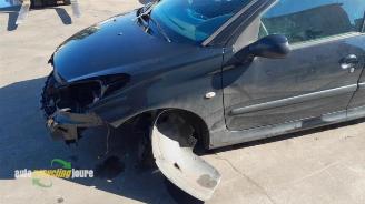 Peugeot 206 206+ (2L/M), Hatchback, 2009 / 2013 1.4 XS picture 13