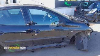 Peugeot 206 206+ (2L/M), Hatchback, 2009 / 2013 1.4 XS picture 2