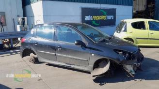 Purkuautot passenger cars Peugeot 206 206+ (2L/M), Hatchback, 2009 / 2013 1.4 XS 2008/1