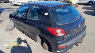 Peugeot 206 206+ (2L/M), Hatchback, 2009 / 2013 1.4 XS picture 10
