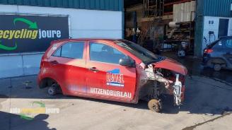 Vrakbiler auto Kia Picanto Picanto (TA), Hatchback, 2011 / 2017 1.0 12V 2012/4