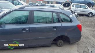 Skoda Fabia Fabia II Combi, Combi 5-drs, 2007 / 2015 1.2 TDI 12V Greenline picture 19