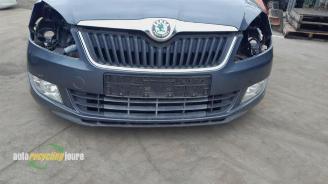 Skoda Fabia Fabia II Combi, Combi 5-drs, 2007 / 2015 1.2 TDI 12V Greenline picture 23