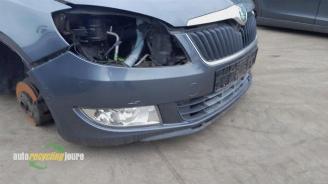 Skoda Fabia Fabia II Combi, Combi 5-drs, 2007 / 2015 1.2 TDI 12V Greenline picture 24