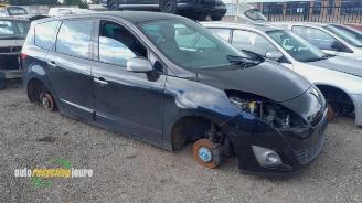 Renault Grand-scenic Grand Scenic III (JZ), MPV, 2009 / 2016 1.4 16V TCe 130 picture 26