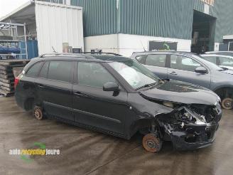 Uttjänta bilar auto Skoda Fabia II onderdelen (kleur: LF9R) donorauto 2013/7