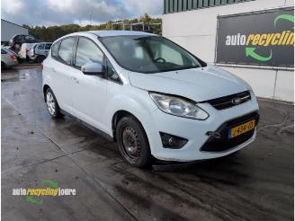 Ford C-Max C-Max (DXA), MPV, 2010 / 2019 1.0 Ti-VCT EcoBoost 12V 125 picture 2