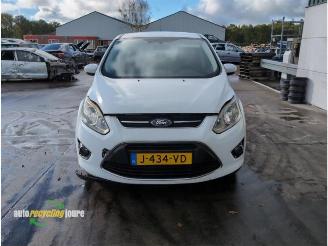 Ford C-Max C-Max (DXA), MPV, 2010 / 2019 1.0 Ti-VCT EcoBoost 12V 125 picture 8