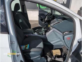 Ford C-Max C-Max (DXA), MPV, 2010 / 2019 1.0 Ti-VCT EcoBoost 12V 125 picture 13