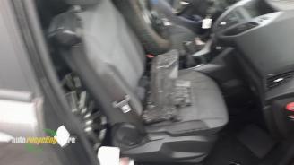 Ford B-Max B-Max (JK8), MPV, 2012 1.0 EcoBoost 12V 100 picture 12