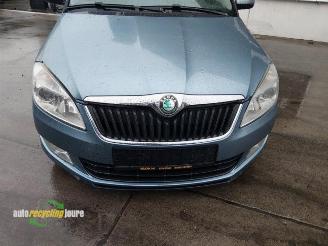 Skoda Fabia Fabia II Combi, Combi 5-drs, 2007 / 2015 1.2 TDI 12V Greenline picture 18