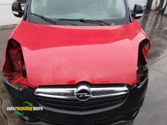 Opel Combo Combo, Van, 2012 / 2018 1.3 CDTI 16V ecoFlex picture 14