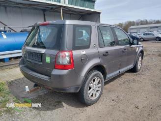 Land Rover Freelander Freelander II, Terreinwagen, 2006 / 2014 2.2 td4 16V picture 5
