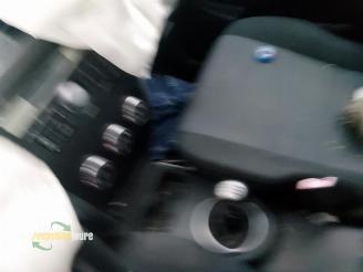 Fiat Sedici Sedici (189), SUV, 2006 / 2014 1.6 16V Emotion 4x4 picture 18