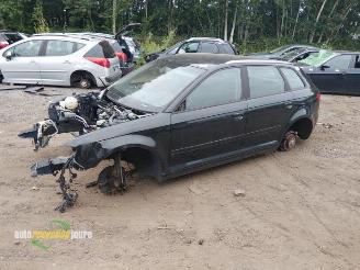 Audi A3 (8PA) Onderdelen, Kleurcode: LZ9Y, Donorauto picture 3