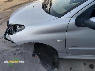 Peugeot 206 206+ (2L/M), Hatchback, 2009 / 2013 1.4 XS picture 9