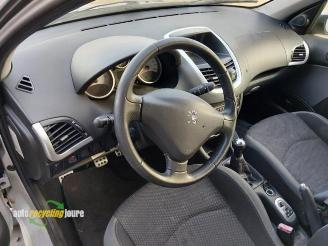 Peugeot 206 206+ (2L/M), Hatchback, 2009 / 2013 1.4 XS picture 10