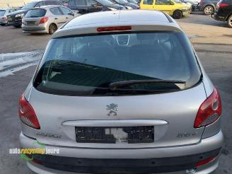 Peugeot 206 206+ (2L/M), Hatchback, 2009 / 2013 1.4 XS picture 14