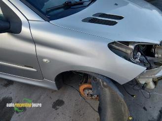 Peugeot 206 206+ (2L/M), Hatchback, 2009 / 2013 1.4 XS picture 21