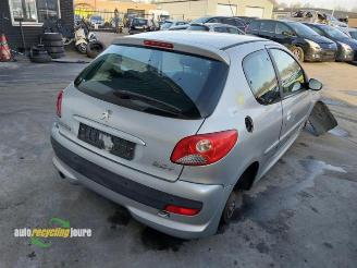 Peugeot 206 206+ (2L/M), Hatchback, 2009 / 2013 1.4 XS picture 17