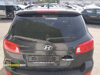 Hyundai Santa Fe Santa Fe II (CM), SUV, 2006 / 2012 2.2 CRDi 16V 4x2 picture 19