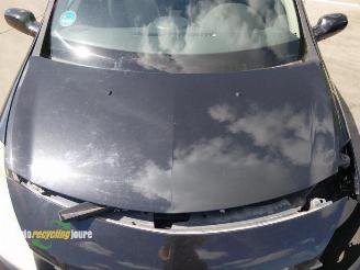 Renault Clio Clio III Estate/Grandtour (KR), Combi, 2007 / 2014 1.6 16V picture 14